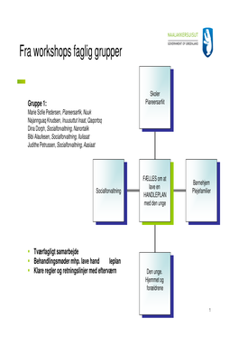 Fra Workshops Faglig Grupper