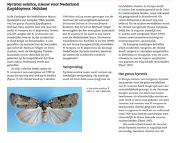Nycteola Asiatica, Nieuw Voor Nederland (Lepidoptera: Nolidae)