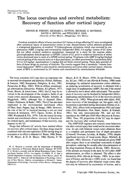 The Locus Coeruleus and Cerebral Metabolism: Recovery of Function After Cortical Injury