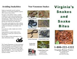 Avoiding Snakebites Non-Venomous Snakes