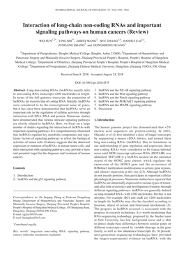 Interaction of Long-Chain Non-Coding Rnas and Important Signaling Pathways on Human Cancers (Review)