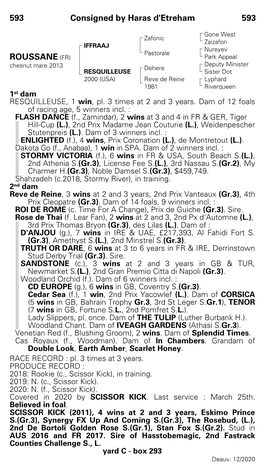 593 Consigned by Haras D'etreham 593 ROUSSANE (FR)