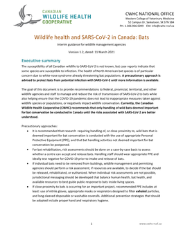 Bats Interim Guidance for Wildlife Management Agencies