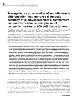 Transgelin Is a Novel Marker of Smooth Muscle Differentiation That Improves Diagnostic Accuracy of Leiomyosarcomas