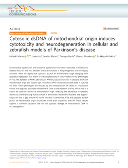 Cytosolic Dsdna of Mitochondrial Origin Induces Cytotoxicity And