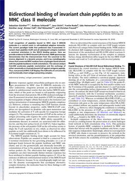 Bidirectional Binding of Invariant Chain Peptides to an MHC Class II Molecule