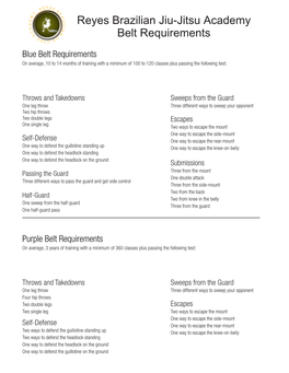 Reyes Brazilian Jiu-Jitsu Academy Belt Requirements