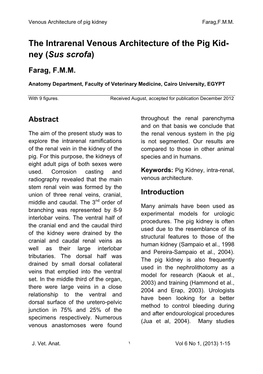 The Intrarenal Venous Architecture of the Pig Kid- Ney (Sus Scrofa)