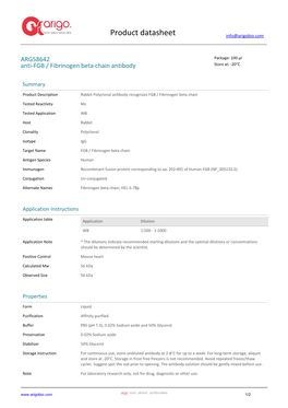 Anti-FGB / Fibrinogen Beta Chain Antibody (ARG58642)