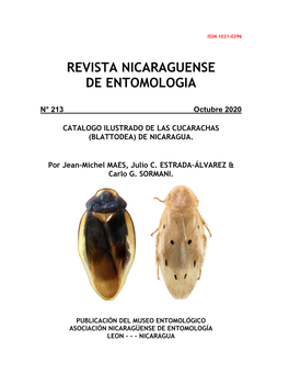 Catalogo Ilustrado De Las Cucarachas (Blattodea) De Nicaragua