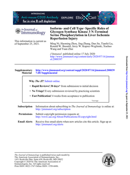 Isoform- and Cell Type–Specific Roles of Glycogen Synthase Kinase 3 N