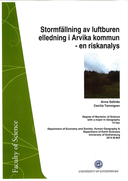 Stormfällning Av Luftburen Elledning I Arvika Kommun – En Riskanalys