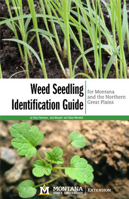 Weed Seedling Identification Guide This Guide Is Not a Complete List of All the Weeds to Be Found in Croplands Or Rangelands