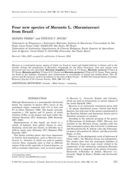 Four New Species of Maranta L. (Marantaceae) from Brazil