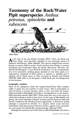 Taxonomy of the Rock/Water Pipit Superspecies Anthus Petrosus, Spinoletta and Rubescens