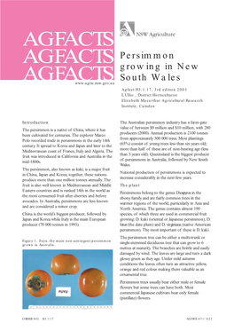 Persimmon-Growing.Pdf