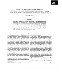 Color Patterns of Spinner Porpoises (Stenella Cf. S