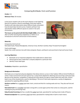 Comparing Bird Beaks: Form and Function Grades: 3-6 Minimum Time: 30 Minutes