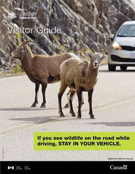 Visitor Guide