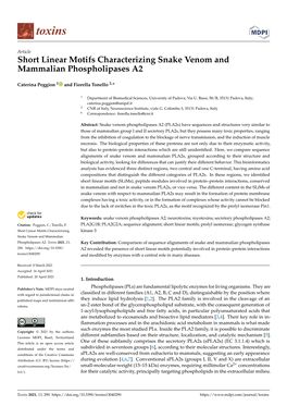 Short Linear Motifs Characterizing Snake Venom and Mammalian Phospholipases A2