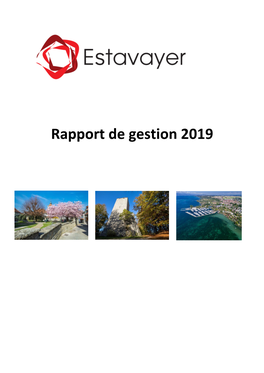 Rapport De Gestion 2019