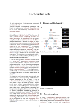 Escherichia Coli