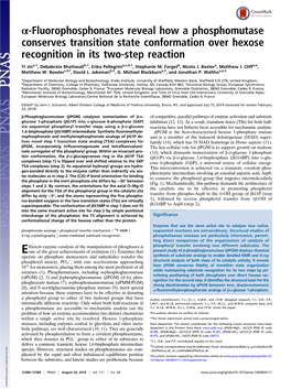 Α-Fluorophosphonates Reveal How a Phosphomutase Conserves Transition State Conformation Over Hexose Recognition in Its Two-Step Reaction