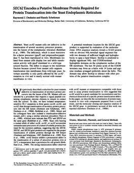 SEC62 Encodes a Putative Membrane Protein Required for Protein Translocation Into the Yeast Endoplasmic Reticulum