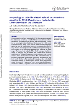 Morphology of Tube-Like Threads Related to Limnochares Aquatica (L., 1758) (Acariformes: Hydrachnidia: Limnocharidae) in the Laboratory A.B