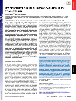 Developmental Origins of Mosaic Evolution in the Avian Cranium