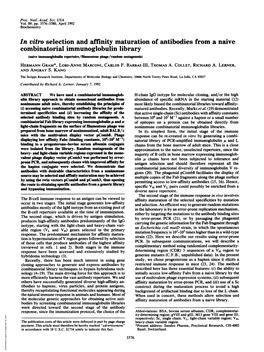 In Vitro Selection and Affinity Maturation of Antibodies from A