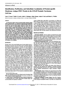 Identification, Purification, and Subcellular Localization of Prostate-Specific Membrane Antigen PSM' Protein in the Lncap Prostatic Carcinoma Cell Line