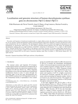 Localization and Genomic Structure of Human Deoxyhypusine Synthase Gene on Chromosome 19P13.2-Distal 19P13.1