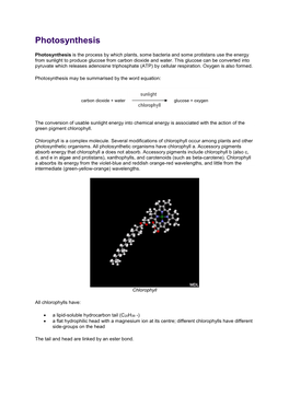 Photosynthesis