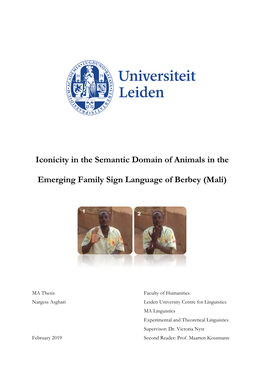 Iconicity in the Semantic Domain of Animals in The
