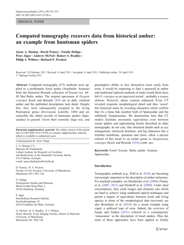 Computed Tomography Recovers Data from Historical Amber: an Example from Huntsman Spiders