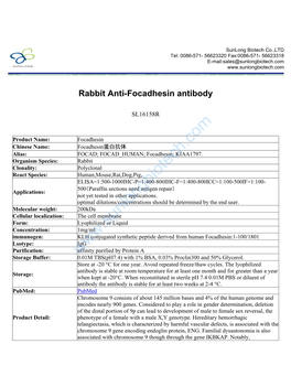 Rabbit Anti-Focadhesin Antibody-SL16158R