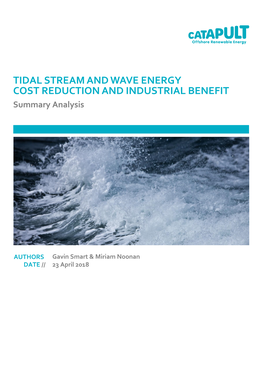 TIDAL STREAM and WAVE ENERGY COST REDUCTION and INDUSTRIAL BENEFIT Summary Analysis