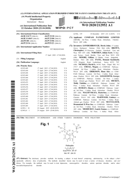 WO 2020/212952 A1 22 October 2020 (22.10.2020)