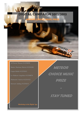 Digital Campaign 2012/2013 Meteor Choice Music Prize