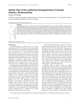 Soldier Flies of the Subfamily Pachygastrinae of Canada (Diptera, Stratiomyidae) Linley M