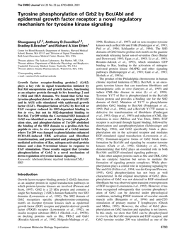 Tyrosine Phosphorylation of Grb2 by Bcr/Abl and Epidermal Growth Factor Receptor: a Novel Regulatory Mechanism for Tyrosine Kinase Signaling