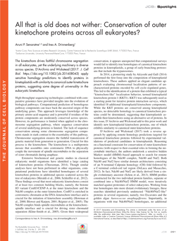 Conservation of Outer Kinetochore Proteins Across All Eukaryotes?
