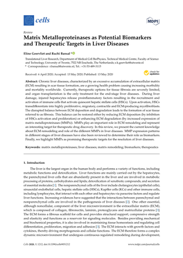 Matrix Metalloproteinases As Potential Biomarkers and Therapeutic Targets in Liver Diseases