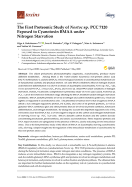 The First Proteomic Study of Nostoc Sp. PCC 7120 Exposed to Cyanotoxin BMAA Under Nitrogen Starvation