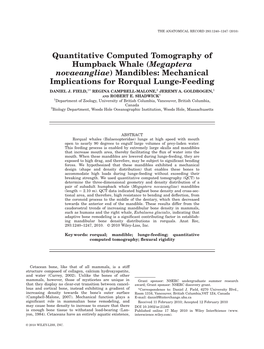 Mandibles: Mechanical Implications for Rorqual Lunge-Feeding