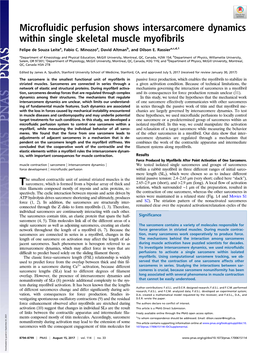 Microfluidic Perfusion Shows Intersarcomere Dynamics Within Single Skeletal Muscle Myofibrils