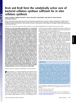 Bcsa and Bcsb Form the Catalytically Active Core of Bacterial Cellulose Synthase Sufﬁcient for in Vitro Cellulose Synthesis