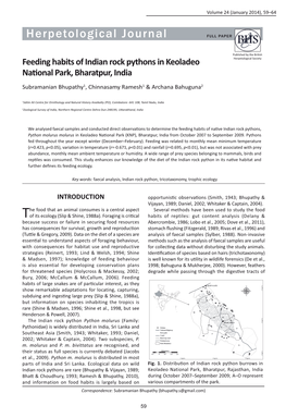 Feeding Habits of Indian Rock Pythons in Keoladeo National Park