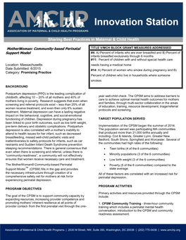 Motherwoman: Community-Based Perinatal Support Model